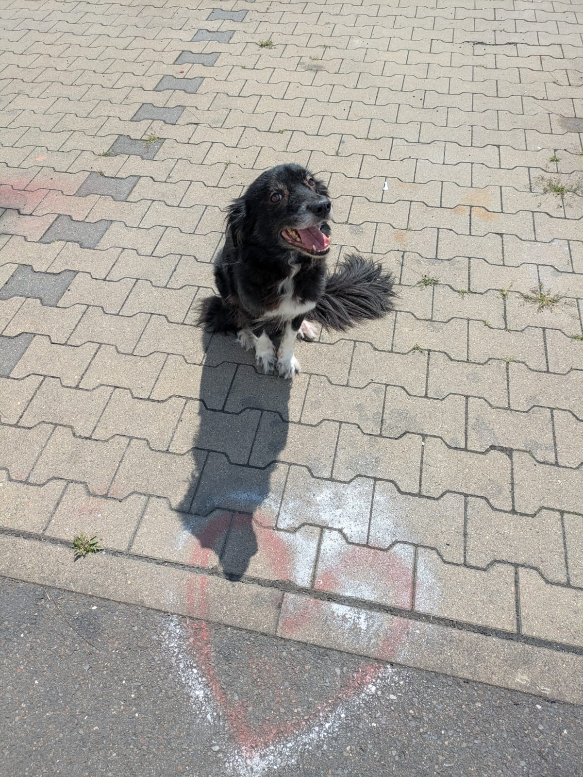 Finja