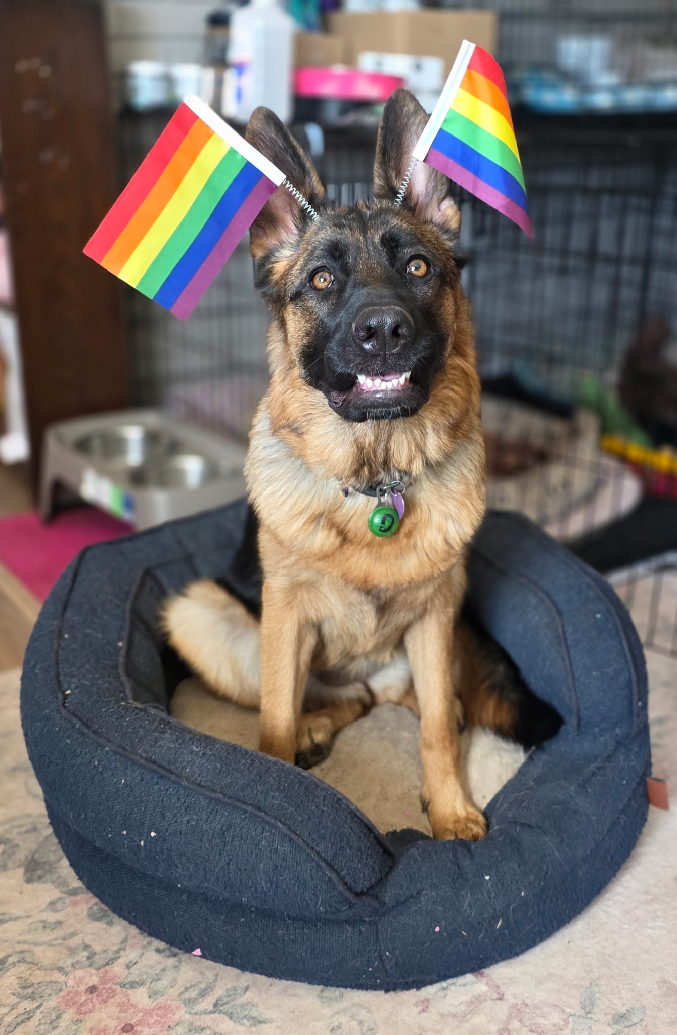 Xena