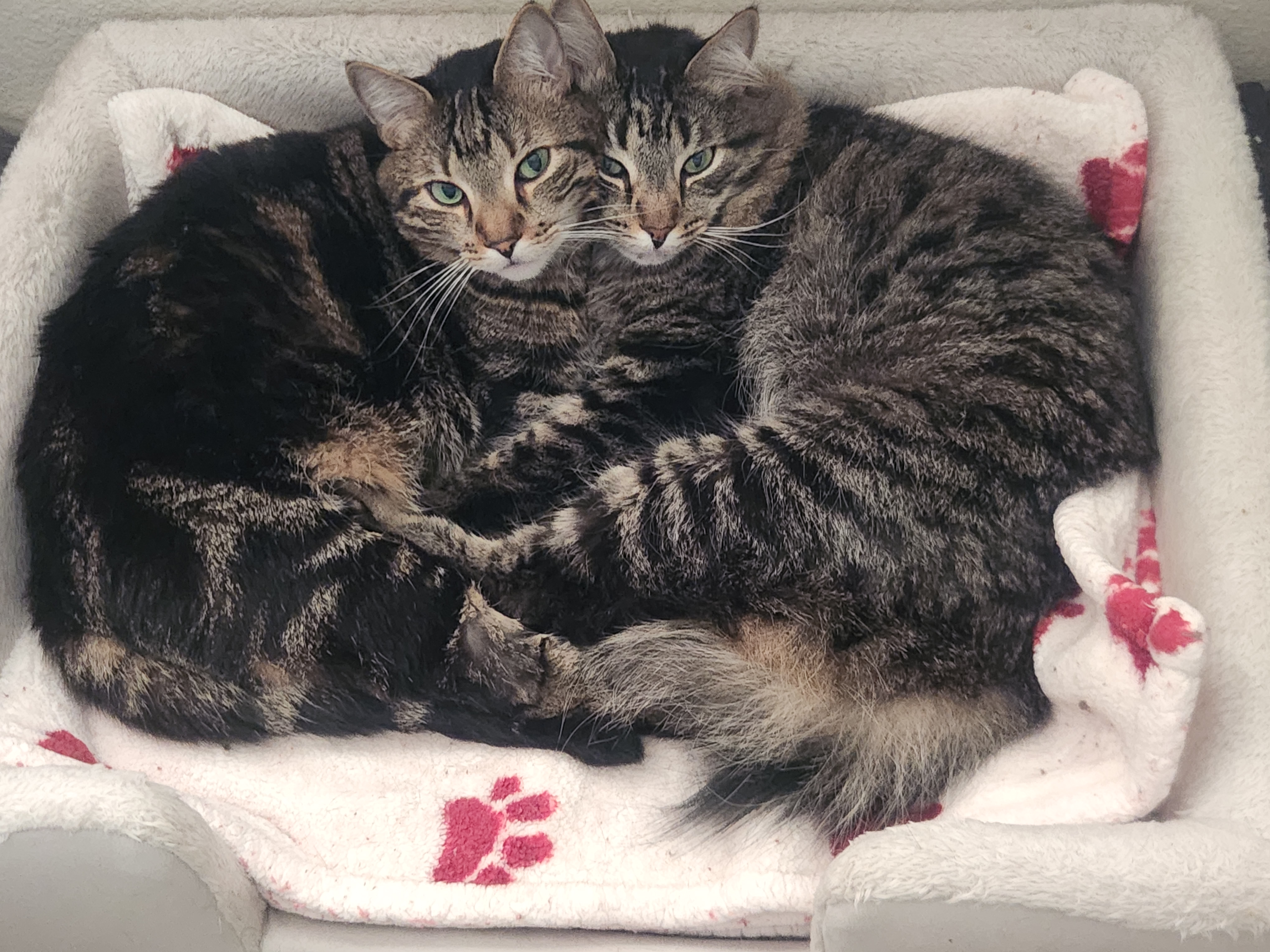 Thunder and Stormy