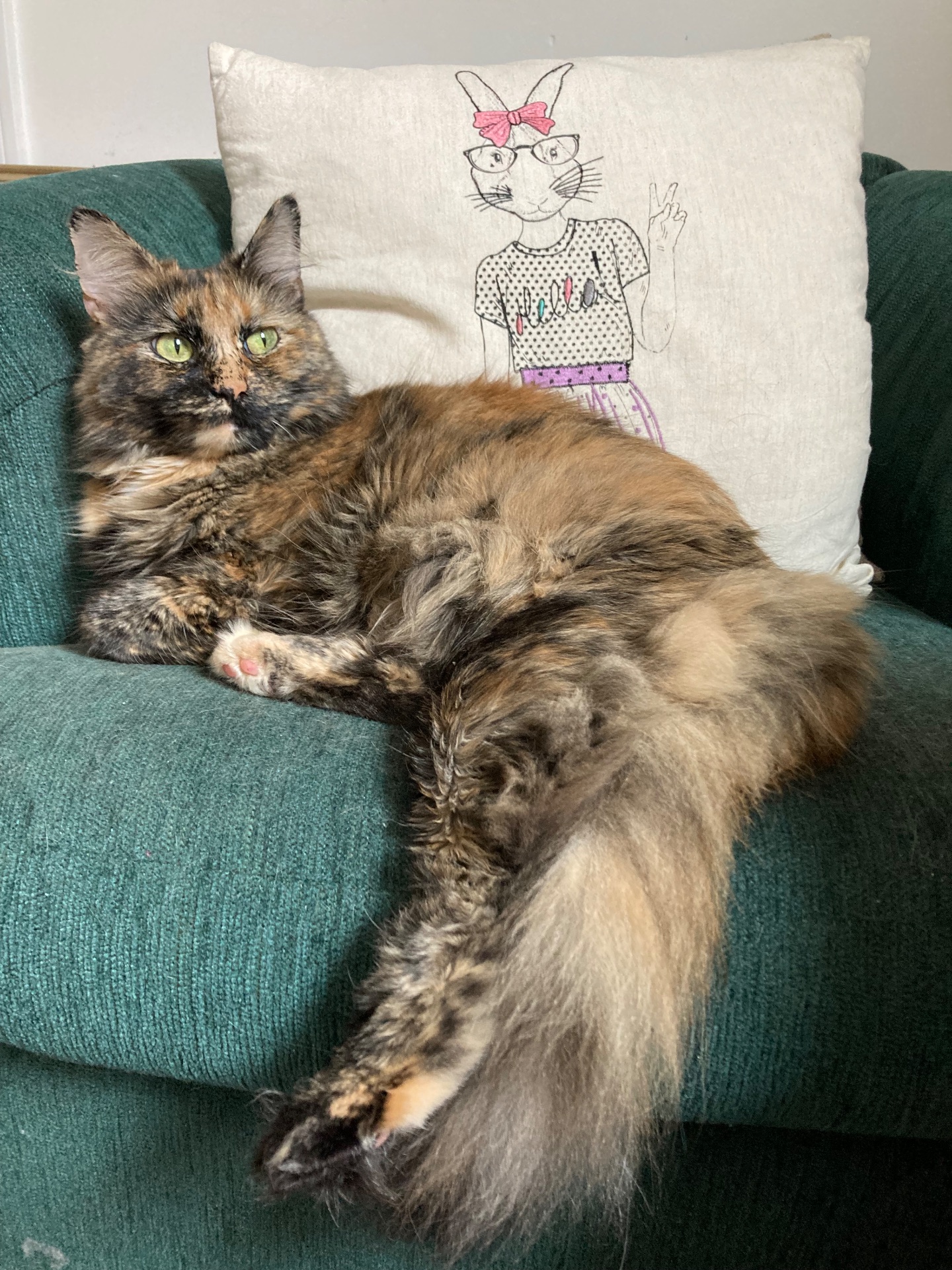 Duchess Evangeline Elizabeth Pumpernickel