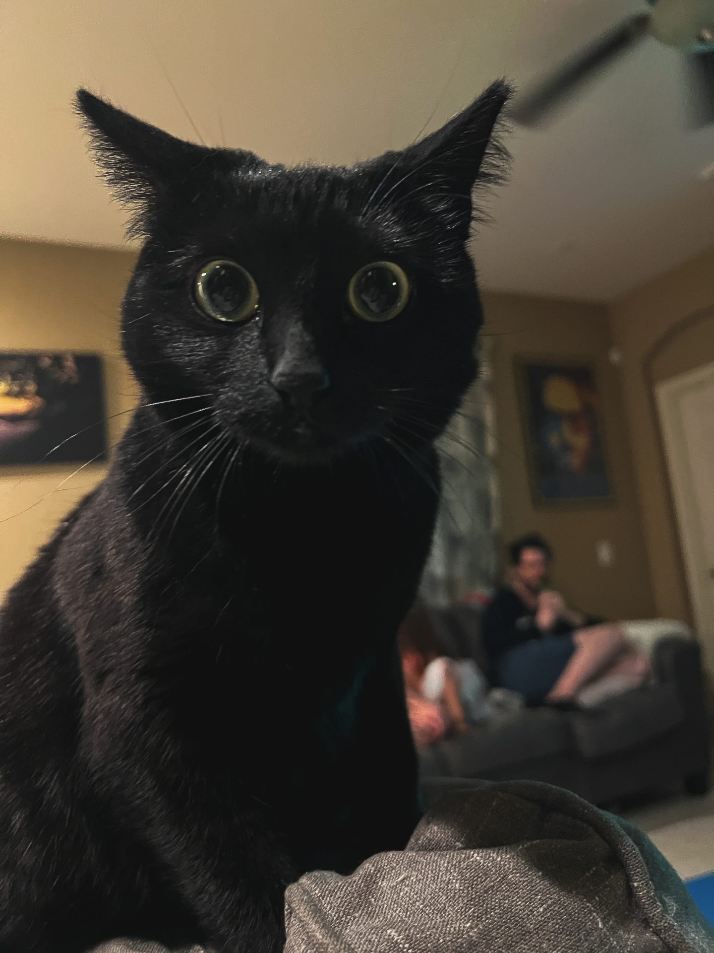 Mimi